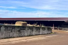 590511779_122270777918070057_5229780632990572582_n